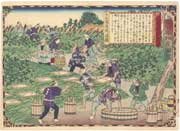 Digging Kudzu [Pueraria] Root from the series Dai Nippon Bussan Zue (Products of Greater Japan) in Yamato Province